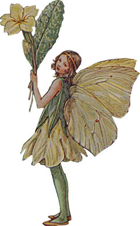 Fairy Oak, Flower Fairies Books, Beige Icons:), Fairy Stickers, Cicely Mary Barker, Png Aesthetic, Fairy Book, Flower Fairies, Blue Heron