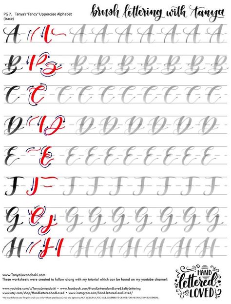 Uppercase Alphabet Brush Lettering Worksheets-printables, Tanya's Two Alphabet Styles, Practice Sheets, Drills, Custom Quote, Capitals - Etsy | Brush lettering worksheet, Brush lettering alphabet, Lettering alphabet Learn Lettering, Cursive Writing Practice, Brush Lettering Alphabet, Brush Lettering Worksheet, Lettering Worksheets, Hand Lettering Practice Sheets, Printables Etsy, Brush Lettering Practice, Calligraphy Worksheet