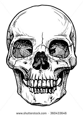 Vector black and white illustration of  human skull with a lower jaw in ink hand drawn style. - stock vector White Illustration, Human Skull, Black And White Illustration, Hand Drawn, Black And White, Human, White, Black