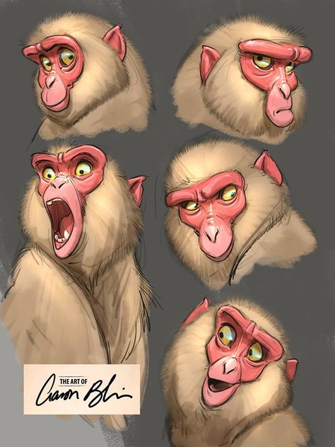 Monkey 3 Monkey Sketch, Aaron Blaise, Character Design Cartoon, Monkey 3, Monkey Art, Character Sketches, Animal Sketches, Character Design Animation, Arte Animal