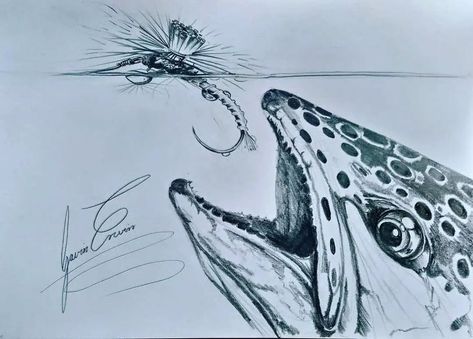 Gavin Erwin Fish Artist Fly Fishing Drawing, Brown Trout Tattoo, Fishing Drawings, Fishing Sketch, Trout Drawing, Flyfishing Art, Trout Illustration, Fish Sketches, Fishing Artwork