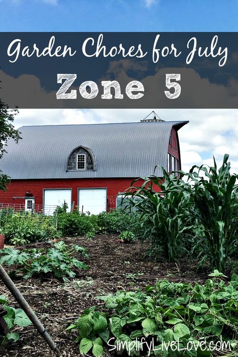 Gardening Zone 5, Vegetable Planting Guide, Vege Garden, Window Box Garden, Organic Gardening Pest Control, Raised Garden Bed Plans, Coastal Nursery, Gardening Zones, Nature Projects