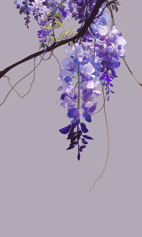 Wisteria Aesthetic Anime, Wisteria Wallpaper Iphone, Anime Wisteria, Wisteria Anime, Wisteria Illustration, Wisteria Drawing, Wisteria Aesthetic, Wisteria Wallpaper, Japanese Wisteria