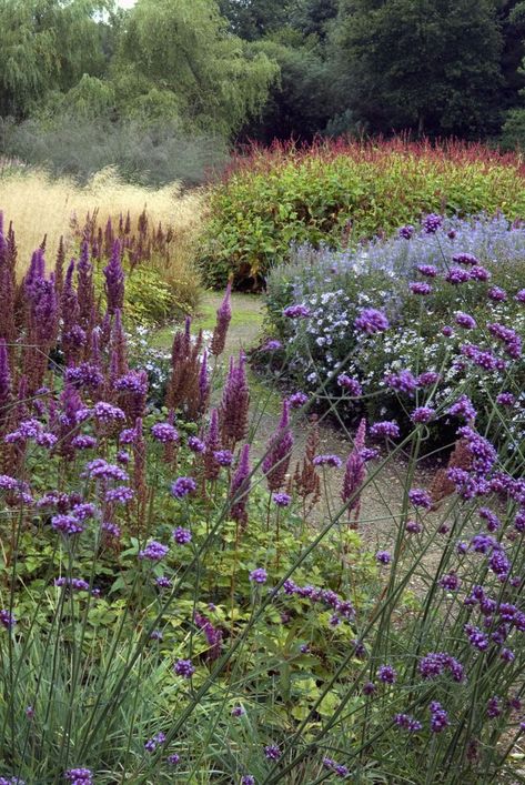 Prairie Garden, Meadow Garden, Cottage Garden Design, Gravel Garden, Garden Types, Have Inspiration, The Heights, Garden Borders, Gorgeous Gardens