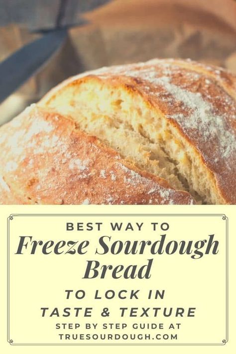 Freeze Sourdough Bread, Sourdough Troubleshooting, Soft Bread Rolls Recipe, Freeze Bread, Soft Rolls Recipe, Bread Tips, Winter Snack, Bread Sourdough, Bread Rolls Recipe