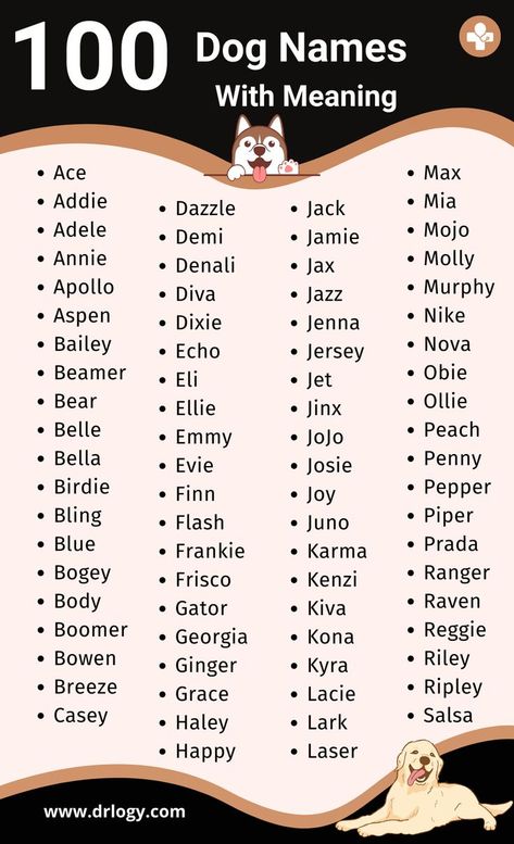 Dog Names Name With Meaning, Turtle Names, Boy Dog Names, Hamster Names, Rabbit Names, Bearded Dragon Cute, Boy Girl Names, Cute Names For Dogs