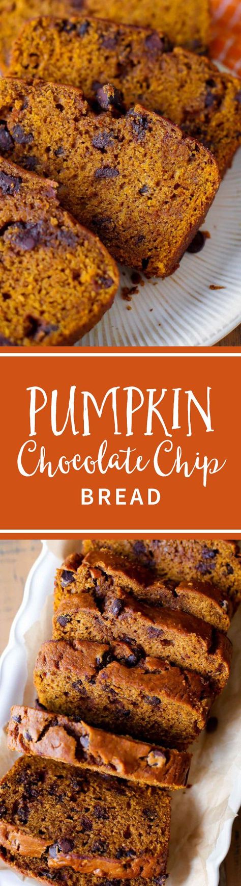 This is my favorite recipe for pumpkin bread! I love adding chocolate chips. Grab the recipe on sallysbakingaddiction.com Bread No Mixer, Chocolate Chip Bread Recipe, The Best Pumpkin Bread, Best Pumpkin Bread, Cookies Cupcake, Chocolate Chip Bread, Pumpkin Chocolate Chip Bread, Pumpkin Chocolate Chip, Pumpkin Chocolate Chips