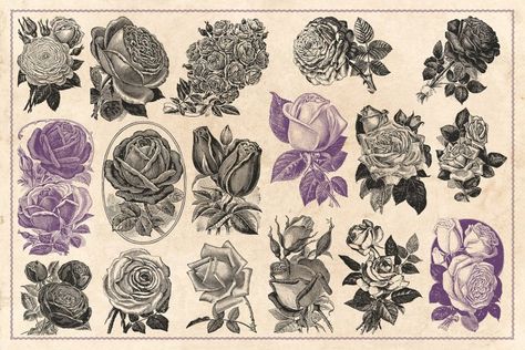 500 Tattoo, Rose Reference, Rose Drawing Tattoo, Tattoo Reference, Rose Illustration, Vintage Flash, Best Tattoo Designs, Vintage Tattoo, Rose Art