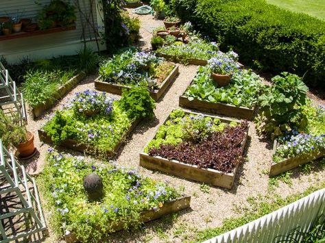 Incorporate edibles into your small landscape using container and raised-bed gardening techniques. Get ideas from gardening personality P. Allen Smith and the landscaping experts at HGTVRemodels.com. Plantarea Legumelor, Garden Bed Layout, Small Vegetable Gardens, Potager Garden, Backyard Vegetable Gardens, Garden Design Layout, Gardening Techniques, Edible Landscaping, Have Inspiration