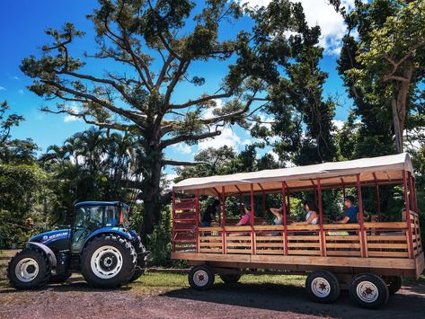 Haunted Towns, Hay Ride, Old Western Towns, Forest Book, El Yunque National Forest, Americana Aesthetic, Atv Riding, Western Town, Fall Bucket List