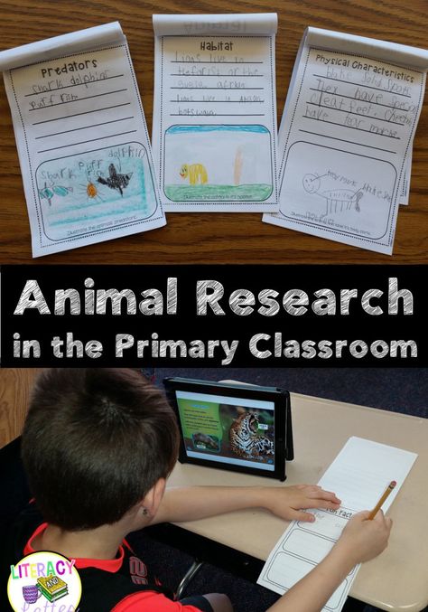 Student driven animal research made simple for kindergarten or first grade! Animal Research Project, Grade 2 Science, Animal Research, 1st Grade Science, First Grade Science, First Grade Writing, The Last 10 Years, Mad Science, Report Writing