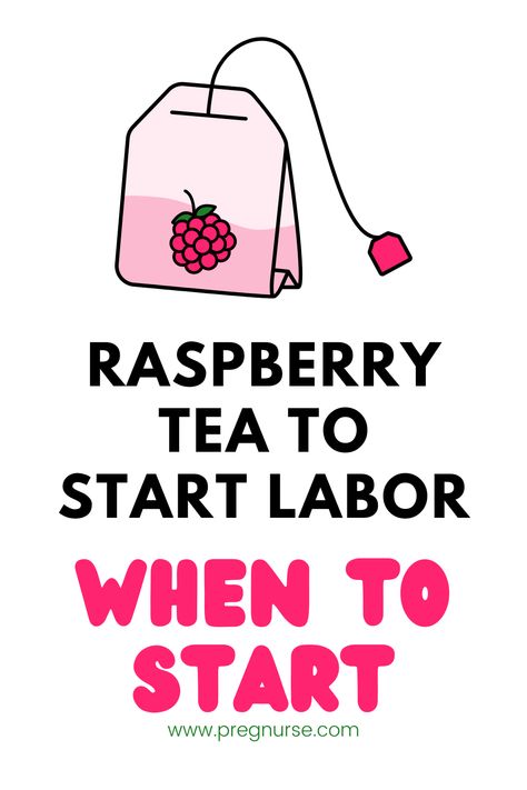 Discover the reality behind the popular belief that raspberry leaf tea can induce labor. Learn from The Pregnancy Nurse®, Hilary, who shares insights from studies and her own experience as a nurse with 20 years of labor and delivery experience. Raspberry Tea To Induce Labor, Labor Prep Tea, Iced Raspberry Leaf Tea Pregnancy, Rasberry Leaf Tea During Pregnancy, Labor Tea Recipe, Raspberry Tea For Labor, Labor Drink Induce, Labor Inducing Smoothie, Starbucks Labor Inducing Drink