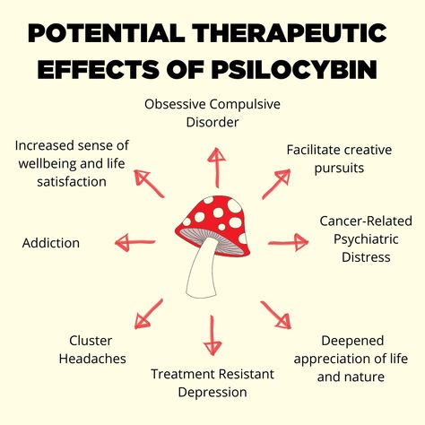 Micro Dosing Mushroom, Micro Dosing, Psilocybin Mushrooms, Psychic Development Learning, Growing Mushrooms At Home, Mushroom Benefits, Mushroom Grow Kit, Individual Counseling, Medical Herbs