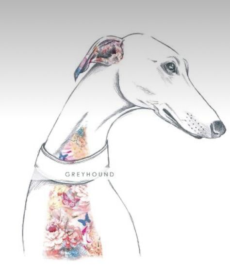 Greyhound Tattoo, House Additions, Wayfair Uk, Greyhound Adoption, Dog Prints, Greyhound Art, Greyhound Dog, Grey Hound Dog, Learn Art