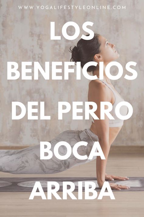 La postura del perro boca arriba, también conocida como urdhva mukha svanasana en sánscrito, es una postura de yoga muy poderosa que se utiliza en muchos estilos de yoga.

El nombre de esta postura de yoga para principiantes viene de su apariencia, ya que se asemeja a un perro estirándose mirando hacia arriba al despertarse.

Además de ser muy beneficiosa, esta asana de yoga es apta para principiantes y no requiere tener experiencia en la práctica para poder hacerla en alguna de sus formas. Yoga Poses Names Asana, Different Types Of Yoga Asana, Natarajasana Sequence, Utthita Hasta Padangusthasana, Ashtanga Vinyasa Yoga, Vinyasa Yoga, Company Logo, Tech Company Logos, Yoga