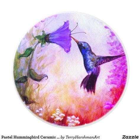 Hummingbird Ceramic, Dresser Drawer Knobs, Marble Ceramics, Painted Rocks Craft, Rock Painting Patterns, Drawer Knob, Pet Rocks, Rock Painting Designs, Nature Birds