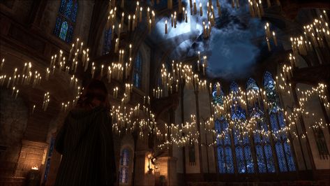 Hall Ceiling, Hogwarts Great Hall, Severus Snape Fanart, Harry Potter Wall, The Great Hall, Create Reality, Images Harry Potter, Hogwarts Aesthetic, Great Hall