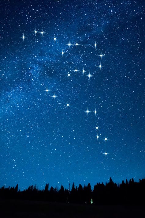 Sirius Constellation Aesthetic, Canis Major Wallpaper, Sirius Constellation Wallpaper, Canis Major Tattoo, Raf Tattoo, Constellations Aesthetic, Sirius Constellation, Canis Major Constellation, Hercules Constellation