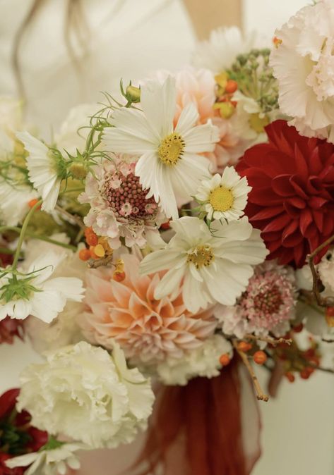 Red and blush bridal bouquet Cosmos, scabiosa, dahlia, ilex, lisianthus Photo by Alex Davis Eve Floral Co. Cosmos Bridal Bouquet, Alex Davis, Creative Studio Space, Blush Bridal Bouquet, Lasting Love, Cincinnati Ohio, Studio Space, Wedding Florist, Creative Studio