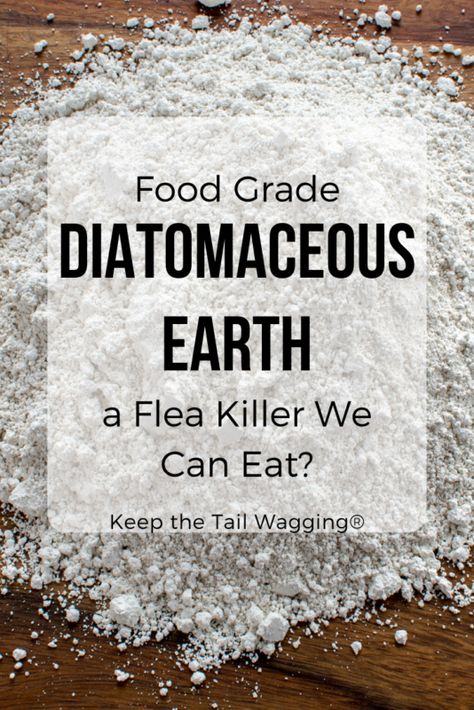 Food Grade Diatomaceous Earth Benefits, Diatomaceous Earth For Fleas, Diatomaceous Earth Benefits, Dog Safe Cake Recipe, Food Grade Diatomaceous Earth, Earth Food, Diatomaceous Earth Food Grade, Pet Nutrition, Parasite Cleanse