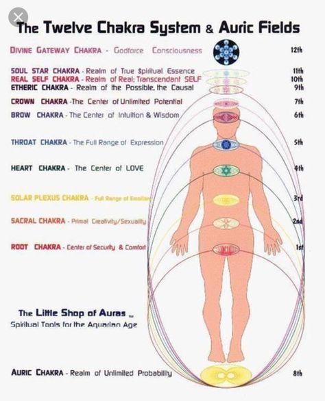 12 chakra system and auric fields 12 Chakras, Keys To The Kingdom, Pranic Healing, Energetic Body, Chakra System, Energy Medicine, Spiritual Tools, Les Chakras, Reiki Energy