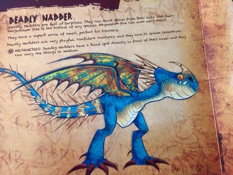 Stormfly the Deadly Nadder from The Book of Dragons of How to Train Your Dragon Book Of Dragons, Deadly Nadder, Draw My Oc, Tiamat Dragon, Httyd Art, Dragon Movies, Dragon Sketch, Httyd Dragons, Dragon Trainer