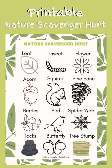 Family Camping Checklist, Campfire Fun, Camping Checklist Family, Nature Scavenger Hunt, Nature Hunt, Kids Checklist, Kids Camping, Butterfly Tree, Free Nature