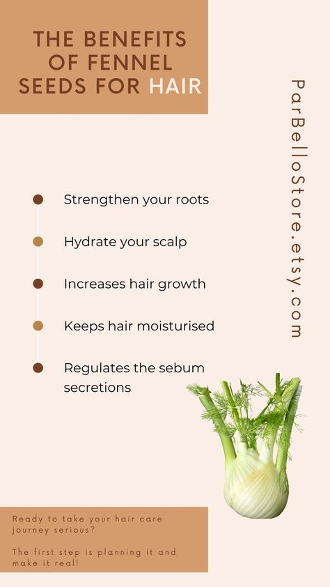 Fennel Seeds Benefits For Hair, Fennel Seeds Benefits, Hair Care Planner, Routine Hair Care, Benefits Of Fennel, Diy Hair Growth Oil, Beauty Plan, Increase Hair Growth, Diy Oils