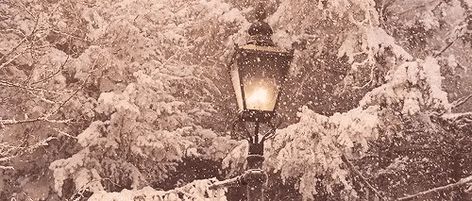 Lamppost Narnia, Archangel Cassiel, Archangel Haniel, Snow Gif, Peter Pevensie, Garden Winter, Miss Peregrine, Banner Gif, Silly Cats Pictures