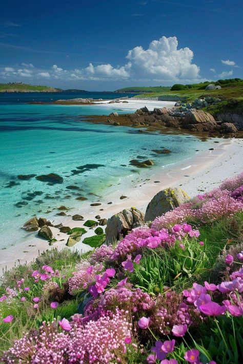 Isle Of Scilly, Tresco Abbey Gardens, Counties Of England, Scilly Isles, Cornwall Beaches, Seascape Photography, Travel Uk, Beautiful Landscape Photography, Cornwall England