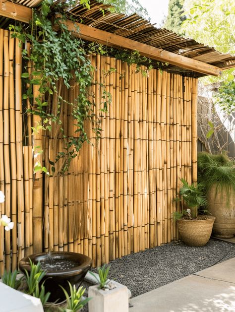 Boho Style Backyard: Bamboo Privacy Screens and Climbing Plants Bamboo Shed Outdoor Spaces, Outdoor Patio Wall Ideas, Bamboo Screening Fence Backyard Privacy, Bamboo Privacy Wall, Backyard Bamboo, Bamboo Near Pool, Bamboo As A Privacy Fence, Bamboo Privacy Screen, Planting Bamboo Privacy Fences