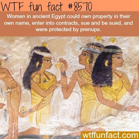 Yaassss Egypt Facts, Egypt Women, Weird History Facts, Women Rights, Facts Funny, History Nerd, Wow Facts, Egypt History, Historical Facts