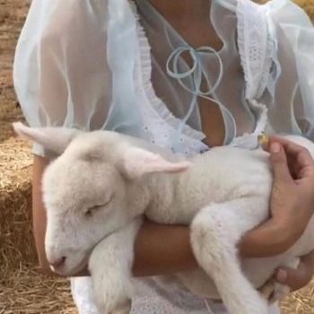 Lamb Coquette, Daughter Aesthetic, Baby Lamb, Hockey Sticks, Vintage Americana, Farm Girl, Farm Life, Country Girls, Aesthetic Pictures