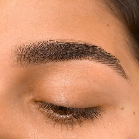 Eyebrow Claim, Soft Arch Brows, Eyebrow Inspo Natural, Soft Arch Eyebrows, Neat Eyebrows, Dark Brown Eyebrows, Symmetrical Brows, Nice Eyebrows, Good Eyebrows