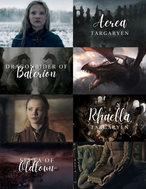 Targaryen Female Names, House Of Dragon Outfits, Targaryen Names, Aquatic Mammals, Fantasy Aesthetics, Fantasy Character Names, Celtic Hair, Game Of Thrones Artwork, Game Of Thrones Dragons