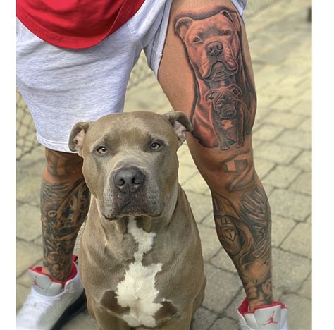 Pitbull Tattoo For Men, American Bully Tattoo, Dog Portrait Tattoo, Pitbull Tattoo, Blue Nose Pitbull, Dog Cover, City Tattoo, Birth Flower Tattoos, Cover Up Tattoo