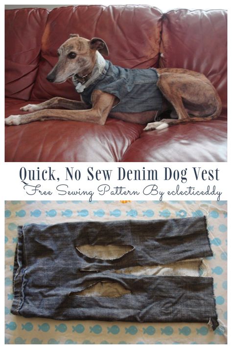 DIY Recycled Jean Dog Coat Free Sew Pattern & Tutorials Dog Denim Jacket Pattern, Dog Jean Jacket Pattern, Diy Dog Vest Pattern, Diy Dog Coat From Sweatshirt, Dog Jacket Pattern Free, Dog Vest Diy, Dog Jacket Diy, Enrichment Dog, Sew Dog Clothes