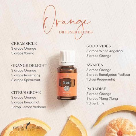 Not sure what to do with your bottle of Orange essential oil? Diffuse these sweet, citrusy, and yummy diffuser blends! Creamsicle (Orange, Vanilla); Good Vibes (White Angelica, Orange); Orange Delight (Orange, Rosemary, Spearmint); Awaken (Orange, Eucalyptus Radiata, Peppermint); Citrus Grove (Orange, Bergamot, Lemon Verbena); and Paradise (Orange, Ylang Ylang, Lime). #aromatherapy #essentialoils #diffuserblends #youngliving #yleo Orange Essential Oil Young Living, Young Living Diffuser Recipes, Orange Essential Oil Blends, Young Living Essential Oil Diffuser, Young Living Oils Recipes, Living Oils Recipes, Essential Oil Diffuser Blends Recipes, Young Living Essential Oils Recipes, Lime Essential Oil