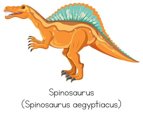 Free Vector | Wordcard design for spinosaurus Spinosaurus Illustration, Hand Anatomy, Infographic Illustration, Vector Photo, Dinosaurs, Room Inspo, Graphic Resources, Anatomy, Crafts For Kids