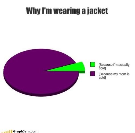 Funny Pie Charts, Funny Charts, Pie Charts, Purple Square, Jacket Pins, Green Square, A Jacket, Funny Relatable Quotes, Internet Funny