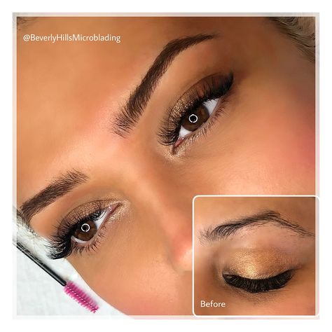 Eyebrow Ombre, Medium Arch Eyebrows, Arched Eyebrows Natural, High Arch Brows, Arched Brows, High Arched Eyebrows, Microbladed Brows, Eyebrow Microblading Shapes, Eyebrow Inspiration