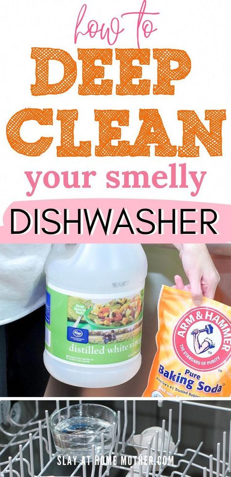 Wondering how to clean a smelly dishwasher? Eliminate bacteria with just vinegar and baking soda for a super fresh and clean dishwasher! Smelly Dishwasher, Dishwasher Smell, Natural Odor Remover, Dishwasher Filter, Vinegar And Baking Soda, Cleaning Your Dishwasher, Baking Soda Benefits, Easy Cleaning Hacks, Vinegar Cleaning