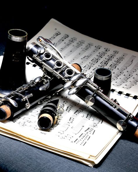 Aesthetic Clarinet, Clarinet Wallpaper, Clarinet Pictures, Clarinet Photography, Clarinet Aesthetic, Clarinet Photo, Band Trip, Music Photoshoot, Recording Studio Setup