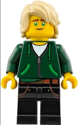 Lloyd the Lego ninjago Movie Hair Hoodie, Lego Ninjago Minifigures, The Lego Ninjago Movie, Lego Ninjago Party, Ninjago City, Lego Ninjago Lloyd, Lloyd Ninjago, Ninjago Party, Lloyd Garmadon