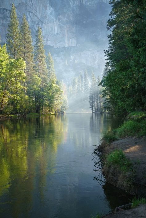 Merced River in Yosemite Merced River Yosemite, Merced River, Yosemite National, Yosemite National Park, Stunning View, Beautiful Nature, National Park, National Parks, Wonder