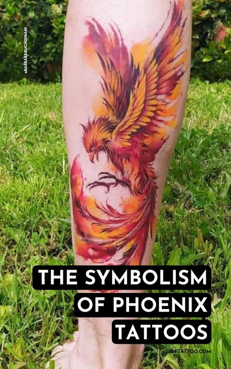 Red And Orange Phoenix Tattoo, Phoenix Tattoo Meaning Woman, Red Orange Tattoo, Phoenix Tattoo Colorful, Fire Phoenix Tattoo Men, Wolf And Phoenix Tattoo, Pheinox Bird Tattoo, Phoenix Rebirth Tattoo, Phinox Tattoo For Women