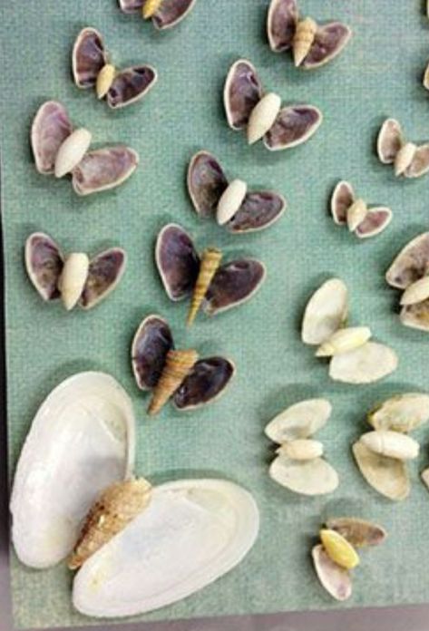 Cockle Shell Crafts, Seashell Butterflies, Sea Shell Animals, Seashell Butterfly, Seashell Art Diy, Shell Animals, Beach Themed Crafts, Diy Beach Decor, Art Coquillage