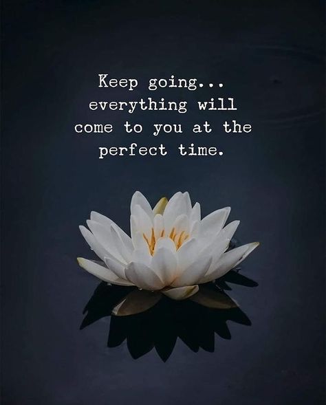 Keep going... everything will come to you at the perfect time. | Picture Credit : Instagram @feelingwalker Thoughts On Life, Good Friends Are Hard To Find, Nice Thoughts, Motivational Quotes In English, Strong Women Quotes, Positive Vibes Only, Best Motivational Quotes, Positive Life, Keep Going