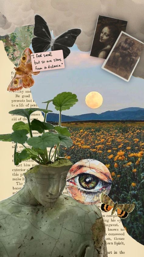 Cool Collages, Example Of Magazine, Butterflies Aesthetic, Branding Mood Board Inspiration, Assemblage Sculpture, Artwork Collage, Aesthetic Plants, Botanical Collage, Nature Collage