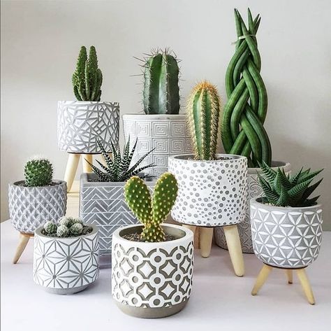 Plant In Office, Decorating Pots, Kaktus Dan Sukulen, Cerámica Ideas, Cactus Decor, Office Plants, Cactus Plant, Creative Gardening, Pot Designs